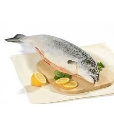 סלמון שלם טרי כ - 5 ק"ג דג