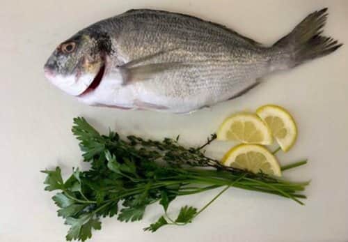 דניס - Sea bream