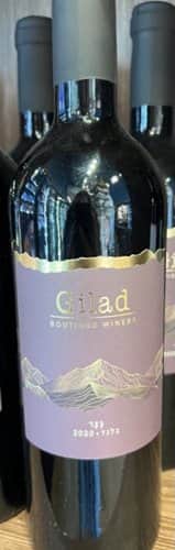 גלעד בצר בלנד 2020 Gilad